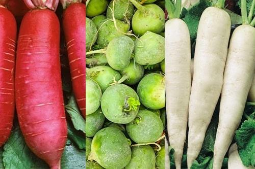 Миф или реальность: почему редька боится мороза 08