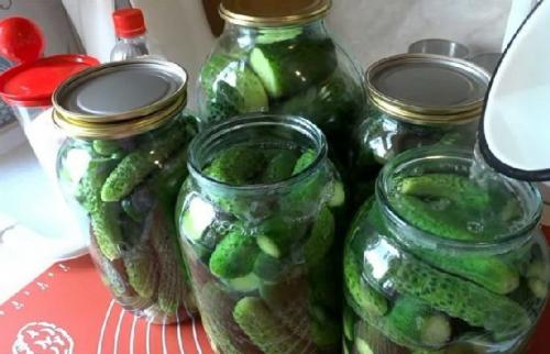 Какой процесс консервации огурцов самый простой для новичков. Маринованные огурцы в банке без стерилизации