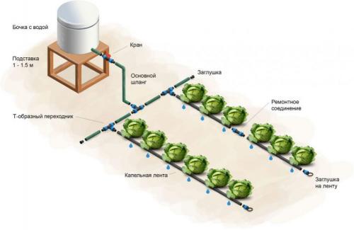 Что нужно знать о капельных системах полива для дачи. Чем полезна система капельного орошения 01