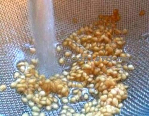 Как собрать семечки с помидора для посадки. Со сбраживанием 07