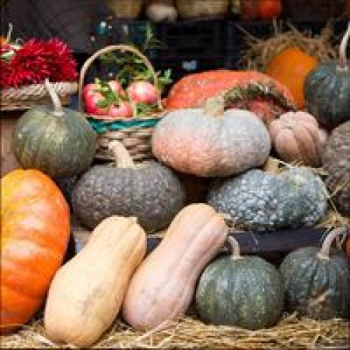 Необычные сорта тыквы – вкусные и очаровательные