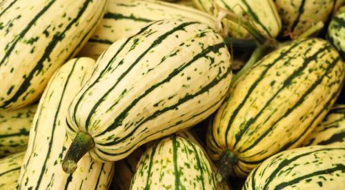 Оранжевая тыква или желтая. Лучшие сорта тыквы: самые крупные, урожайные и сладкие 08 Оранжевая тыква или желтая. Лучшие сорта тыквы: самые крупные, урожайные и сладкие 08