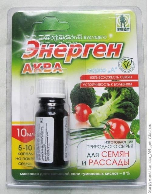 Есть ли специальные методы обработки семян тыквы для повышения устойчивости к заморозкам на почве. Энерген АКВА. Предпосевная обработка семян тыквы. Посев семян в грунт. Первые всходы
