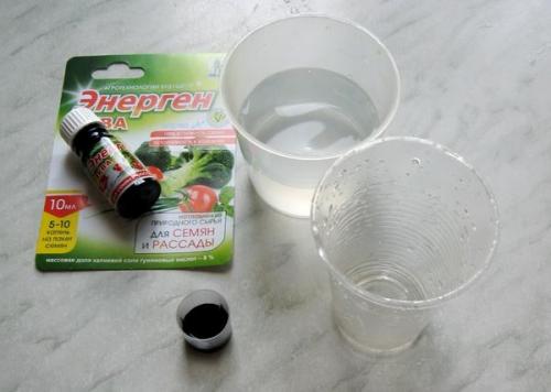 Есть ли специальные методы обработки семян тыквы для повышения устойчивости к заморозкам на почве. Энерген АКВА. Предпосевная обработка семян тыквы. Посев семян в грунт. Первые всходы