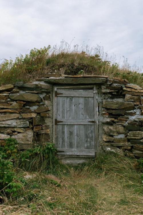 Можно ли хранить картошку в пакетах или контейнерах. Как и где хранить картошку, чтобы не испортилась