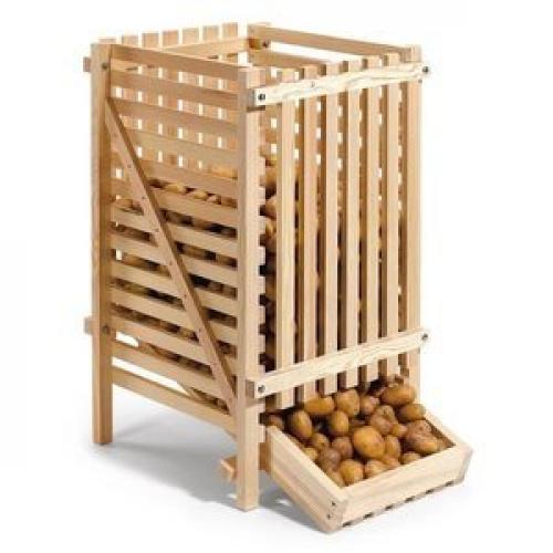 Как избежать загнивания и прорастания урожая картофеля. Что сделать, чтобы картошка не прорастала при хранении