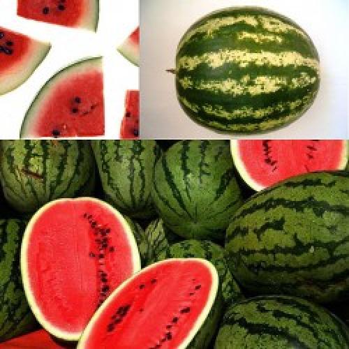 Как правильно сочетать арбуз с другими продуктами: полезные сочетания и запретные комбинации 20