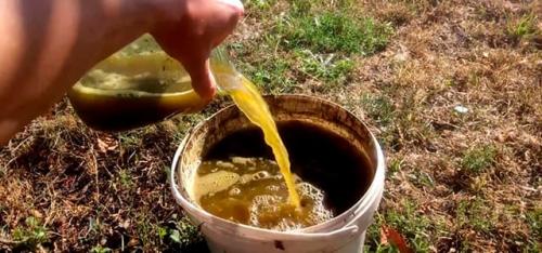 Можно ли использовать компост для улучшения почвы под клубнику. Навоз