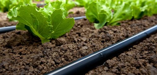 Капельный полив своими руками из пластиковых труб. Как сделать капельный полив своими руками из пластиковых труб и шлангов