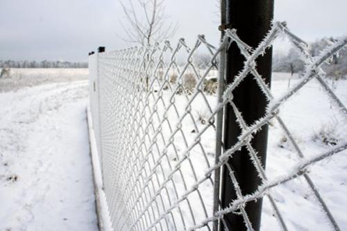 Защита сада зимой от мышей. Чем и к ак  защитить плодовые деревья от грызунов на зиму 