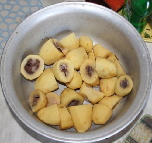 Осенние заморозки для картофеля. Реакция картофеля на температуру 05