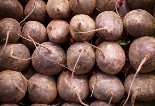 Осенние заморозки для картофеля. Реакция картофеля на температуру 14