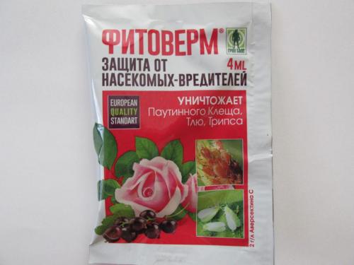 Какие народные методы лечения парши осенью можно использовать для яблони. Профилактика заболевания