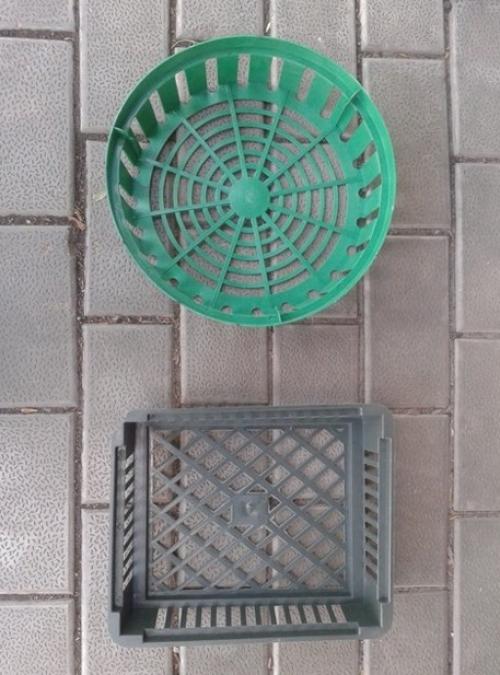 Какой вид почвы лучше всего подходит для тюльпанов в корзинах. Тонкости посадки