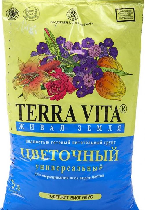 Какой вид почвы лучше всего подходит для тюльпанов в корзинах. Тонкости посадки
