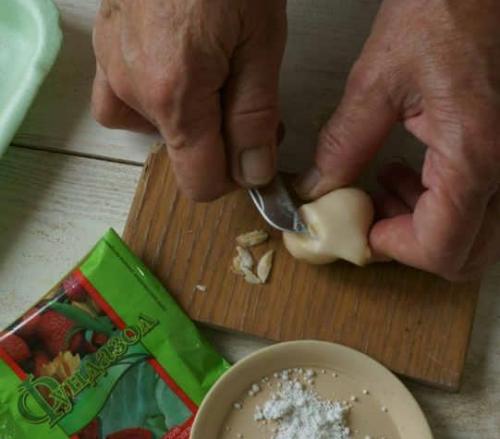 Какой вид почвы лучше всего подходит для тюльпанов в корзинах. Тонкости посадки