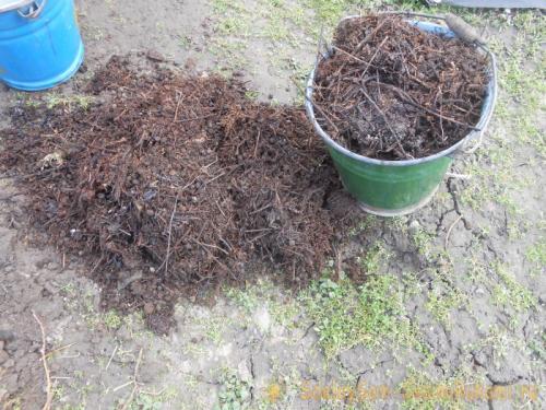 Как правильно подготовить грядку под землянику осенью 05 Как правильно подготовить грядку под землянику осенью 05