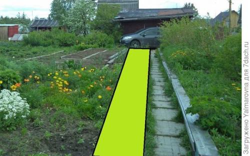 Как влияет близкое расстояние посадки луковичных на их развитие. Насколько близко друг от друга можно сажать лилии?