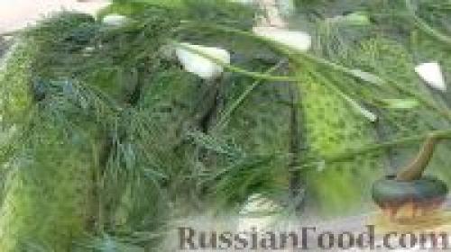 Идеальные заготовки: 12 лучших рецептов маринованных огурцов на зиму 15 Идеальные заготовки: 12 лучших рецептов маринованных огурцов на зиму 15