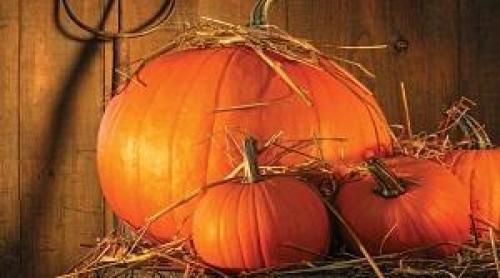 Какие методы хранения тыквы являются наиболее эффективными. Оптимальные условия