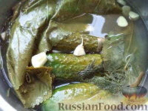 Идеальные заготовки: 12 лучших рецептов маринованных огурцов на зиму 16 Идеальные заготовки: 12 лучших рецептов маринованных огурцов на зиму 16