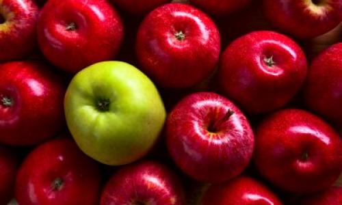 В чём хранить яблоки. Яблоки