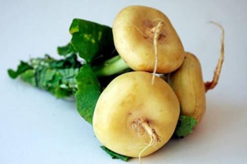 Как часто можно употреблять репу листовую в пищу. Состав и чем она полезна