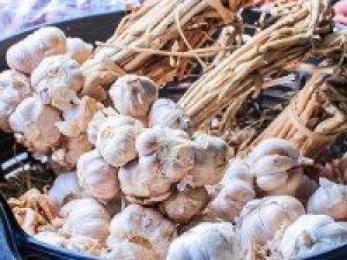 Как сохранить чеснок до весны: 15 простых способов 01