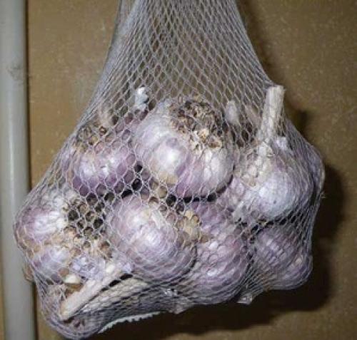 Какие методы хранения чеснока наиболее эффективны для предотвращения высыхания. Как хранить чеснок дома