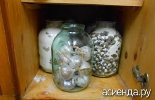 Какие методы хранения чеснока наиболее эффективны для предотвращения высыхания. Как хранить чеснок дома