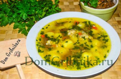 Сколько варить рыжики в супе. Суп из соленых рыжиков на курином бульоне