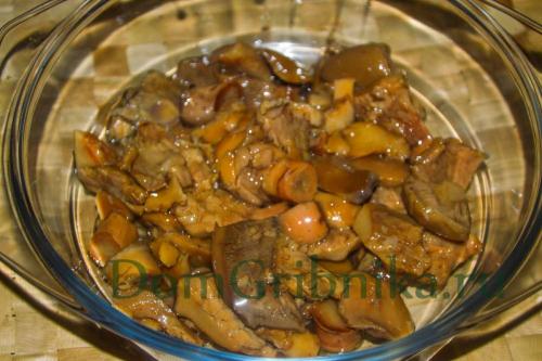 Сколько варить рыжики в супе. Суп из соленых рыжиков на курином бульоне