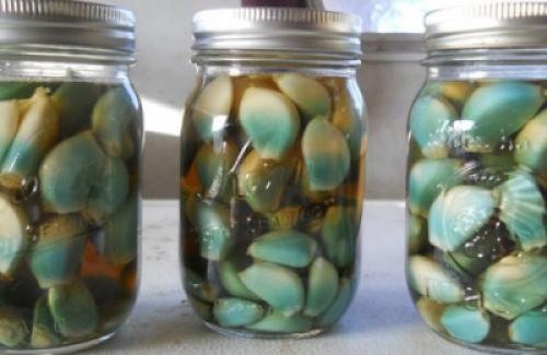 Влияет ли посолка на вкус или текстуру чеснока. Почему чеснок зеленеет при консервации?