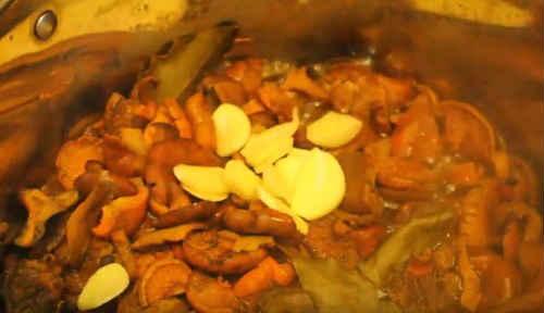 Маринованные рыжики с уксусом. Маринованные грибы рыжики на зиму — лучшие простые рецепты