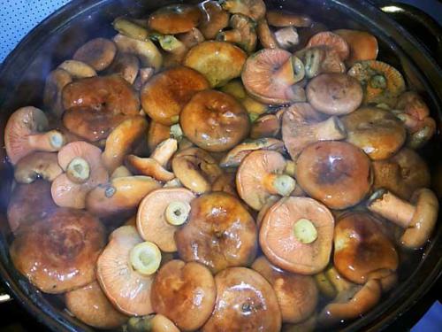 Как мариновать рыжики на зиму в банках. Способы и рецепты маринования 07