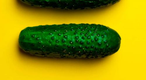 Лучшие сорта огурцов для открытого грунта самоопыляемые. ТОП-50 сортов огурцов для открытого грунта 2023 года — фото с описанием