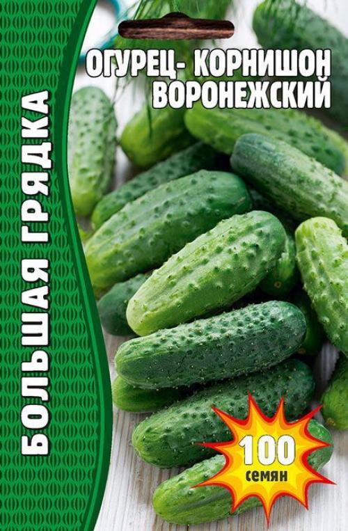 Высокоурожайные сорта огурцов для открытого грунта. Урожайные сорта огурцов — рейтинг 2023 года