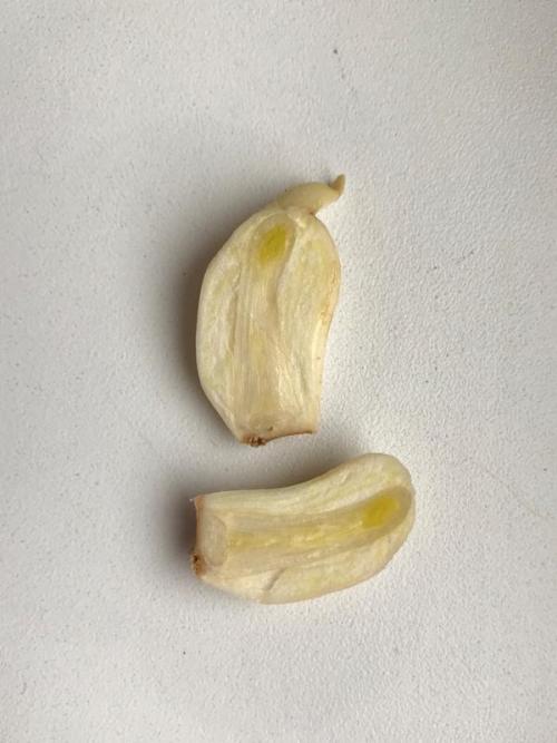 Можно ли использовать чеснок, если он начал прорастать. Пророс чеснок - не беда. Из него получится отличная зелень!