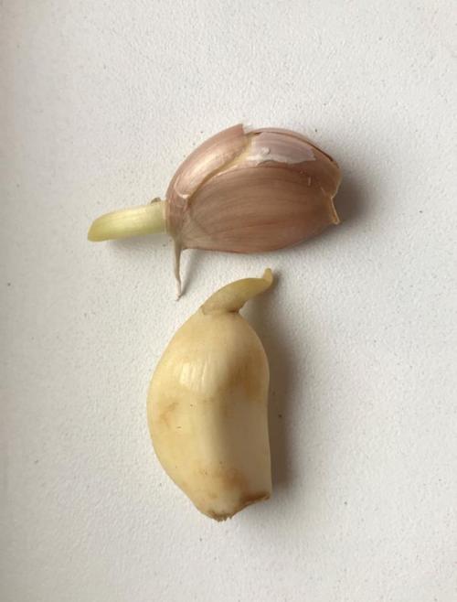 Можно ли использовать чеснок, если он начал прорастать. Пророс чеснок - не беда. Из него получится отличная зелень!