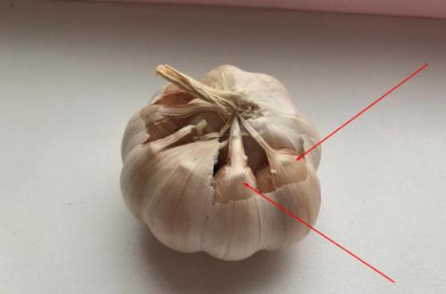 Можно ли использовать чеснок, если он начал прорастать. Пророс чеснок - не беда. Из него получится отличная зелень!