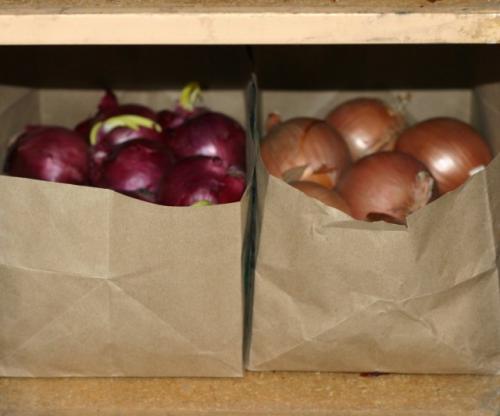 Какие контейнеры лучше использовать для хранения очищенного чеснока. Хранение лука в корзинах