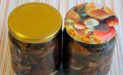 Рыжики соленые. Рыжики на зиму — 5 простых рецептов засолки в банках