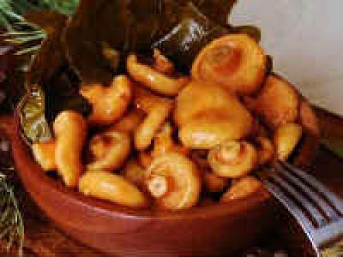 Как мариновать рыжики на зиму горячим способом. Маринованные грибы рыжики на зиму — лучшие простые рецепты