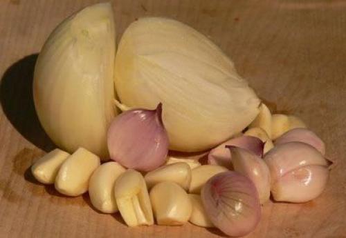 Как отличить ядовитый гриб от съедобного. Как отличить съедобные грибы от несъедобных 01