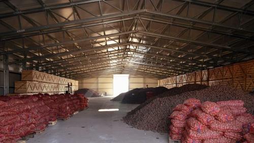 Эффективные методы обработки картофеля перед хранением 04 Эффективные методы обработки картофеля перед хранением 04