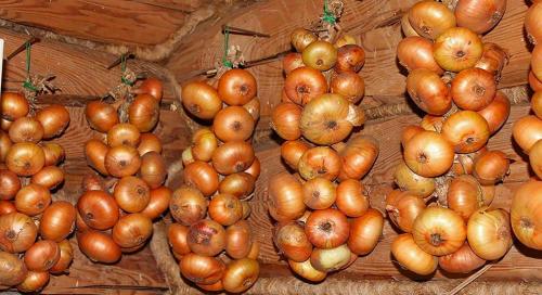 Как сохранить чеснок свежим: 15 полезных советов 03 Как сохранить чеснок свежим: 15 полезных советов 03