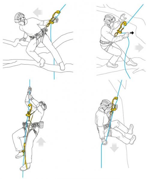 Существуют ли специальные техники подрезки кроны для сохранения здоровья дерева. Безопасный подъем на дерево