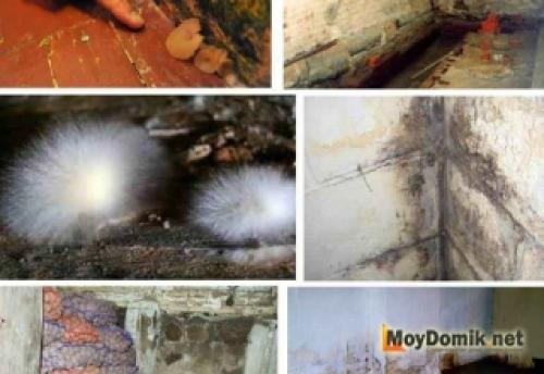 Жидкая гидроизоляция для погреба. Гидроизоляция подвала и погреба изнутри жидким стеклом