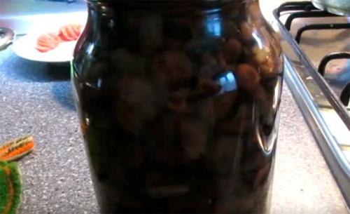 Как солить рыжики в домашних условиях. Рыжики на зиму — 5 простых рецептов засолки в банках