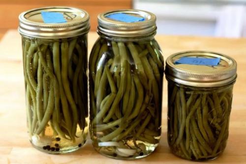Какие методы консервации стручковой фасоли наиболее эффективны для длительного хранения. 12 легких рецептов спаржевой фасоли на зиму